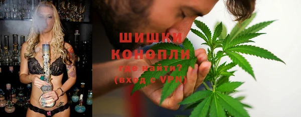 spice Елабуга
