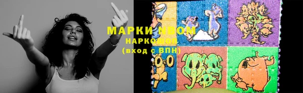трава Ельня