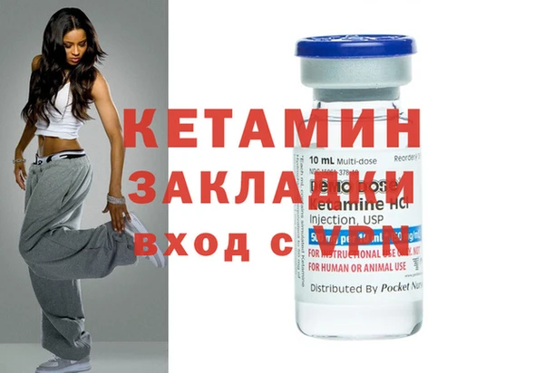 трава Ельня
