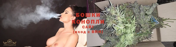 трава Ельня