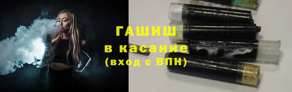 трава Ельня