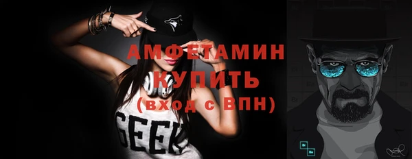 трава Ельня
