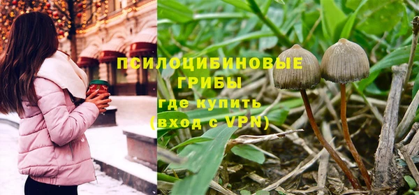 трава Ельня