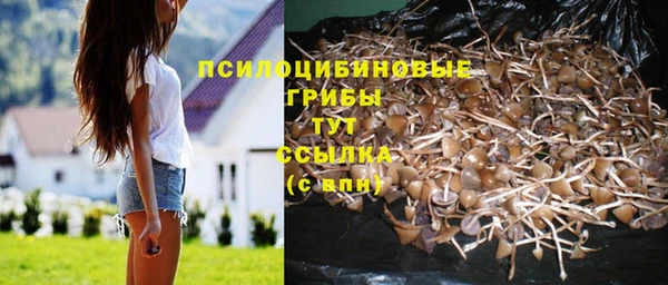 spice Елабуга