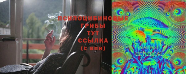 трава Ельня