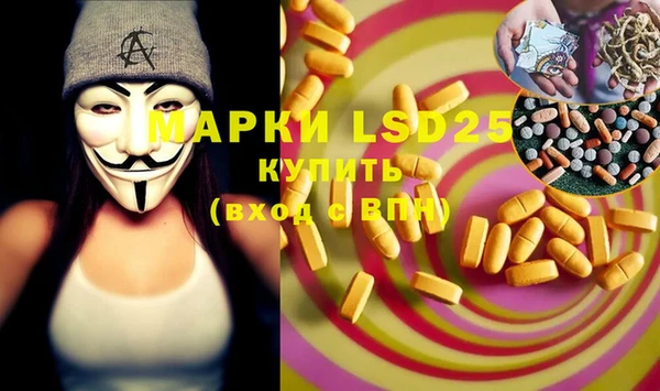 трава Ельня