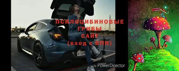 трава Ельня